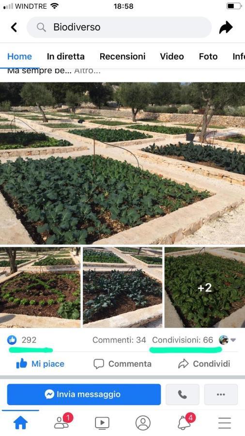Villa Moresca Dei Trulli Fernando Ostuni Extérieur photo